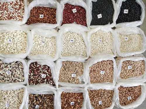 The Ukrainian company "Bins Naturprodukt" offers to wholesale beans