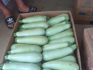 I am selling pumpkins, I am looking for warehouses