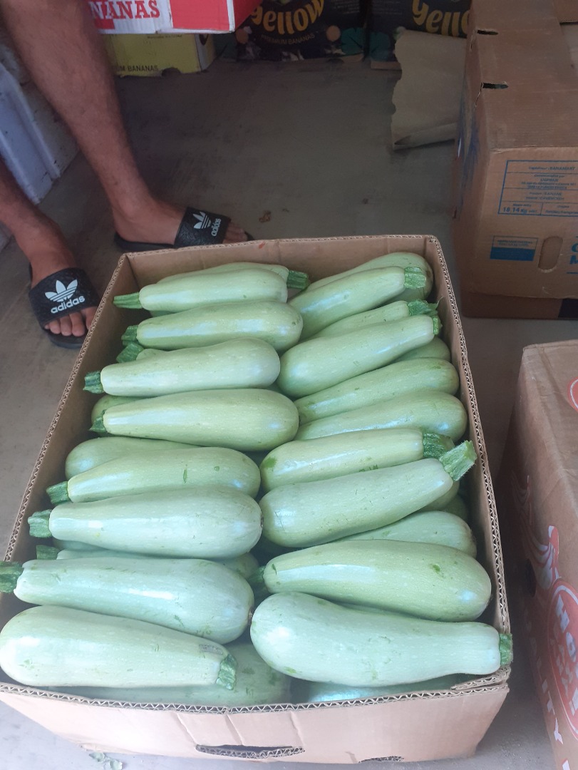 I am selling pumpkins, I am looking for warehouses where I can go every day ..