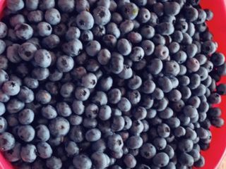 Hello, I am selling blueberry fruit from my own