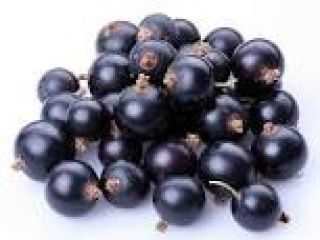 blackcurrant certified for juices or detail. More about our