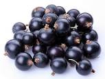 blackcurrant certified for juices or detail