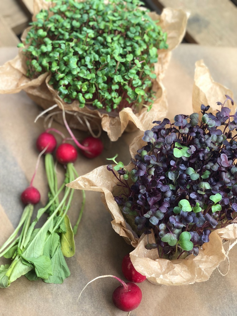 Hello, I am selling microgreen