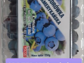 American blueberry from organic farming at home.