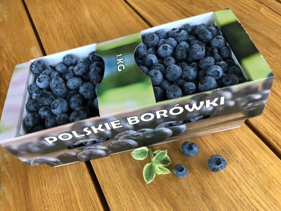 I will sell blueberry from my own cultivation