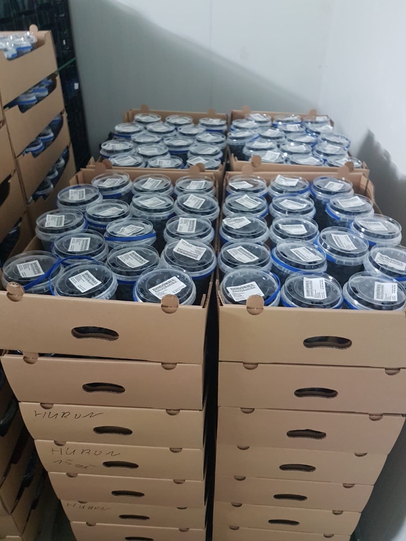 I will sell blueberry from our own plantation
