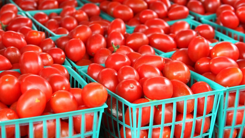 FRESH TOMATOES whatsap ; email ; ( ) Specifications No cracks, no insect bites, mature, modest, sweet and sours, fresh red color, no abnormalities Product Big