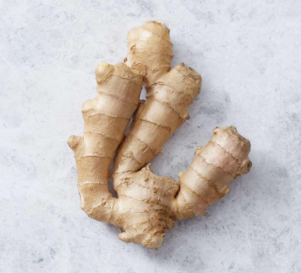 GINGER whatsap ; email ; ( ) Ginger can be used fresh, dried, powdered, or as an oil or juice