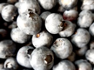 I will sell blueberry fruit. Fresh and nice, made