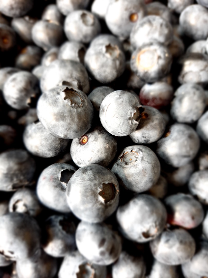 I will sell blueberry fruit