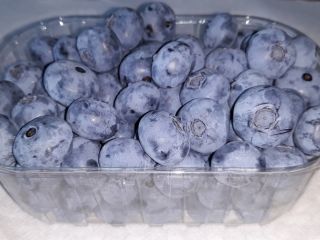 Hello, I am selling blueberries up to 1.5 tons