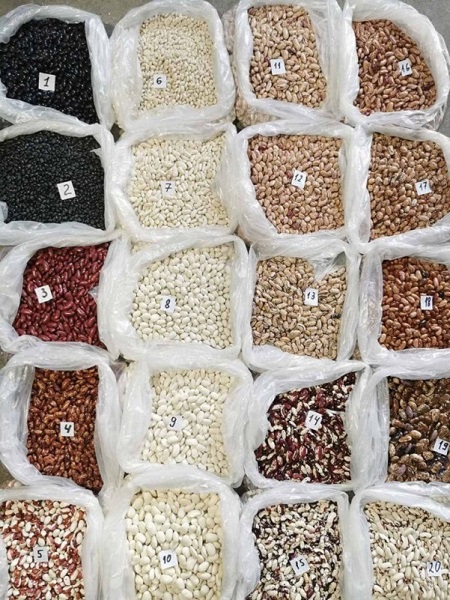 Beans (Ukraine) different varieties "Bins Naturprodukt" Ukrainian company offers to buy beans in bulk