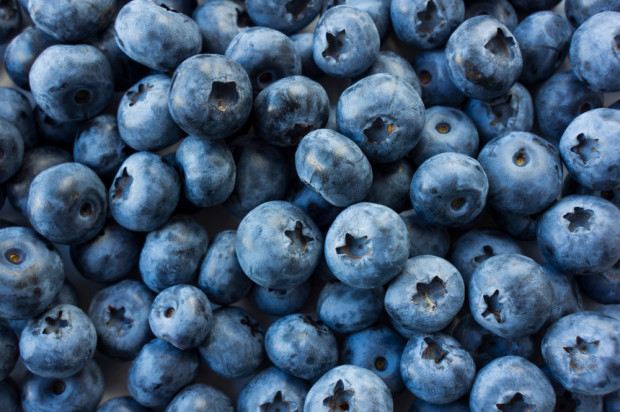 Hello, I am selling blueberry fruit from my own plantation