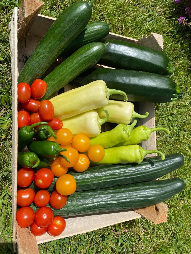 I am looking for large batch year round vegetables and fruits