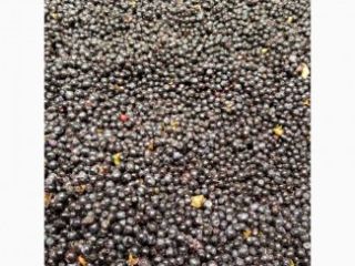 A company with experience in the purchase and processing