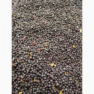 A company with experience in the purchase and processing of blueberries is looking for a partner for permanent cooperation