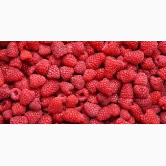 We sell frozen raspberries and export them to Poland from Ukraine