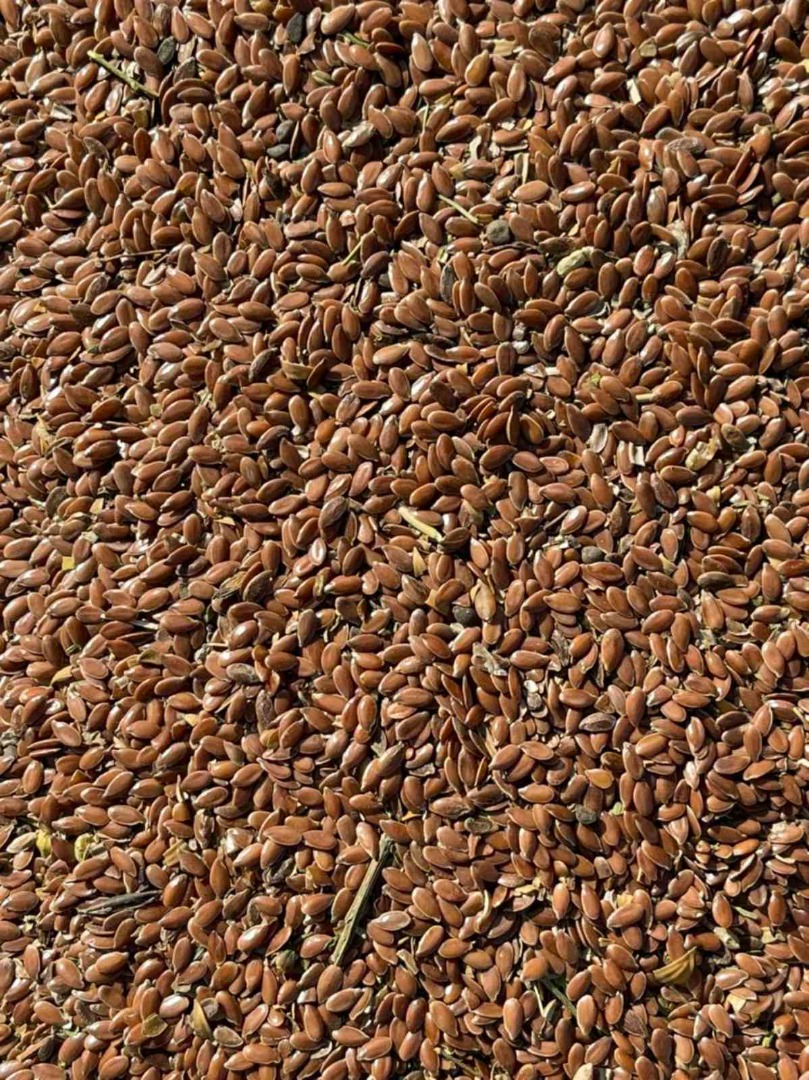 humidity - 8% Total admixture of weeds and oils - up to 6% Purity in total - 96%