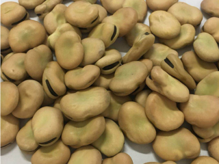 Broad Beans 1. Origin: Tanzania 2. Crop: New 3.