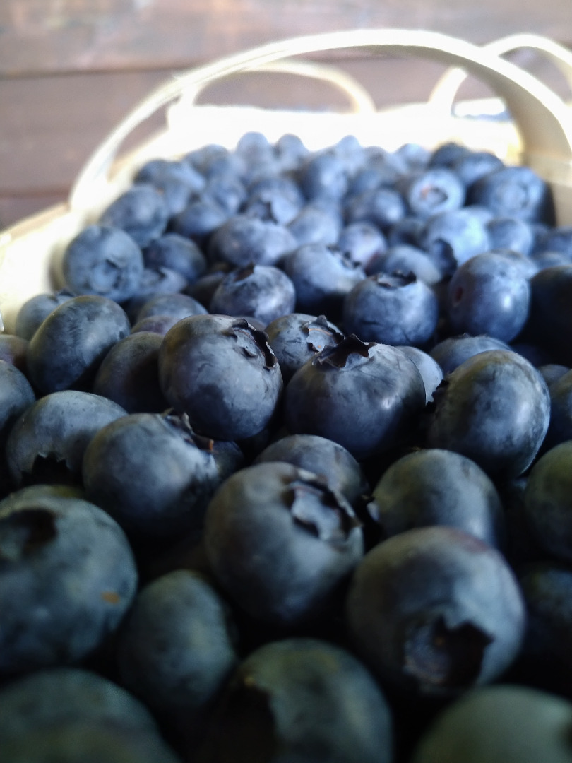 Hi! I have a lot of blueberries for sale from Poland, please write to WhatsUp