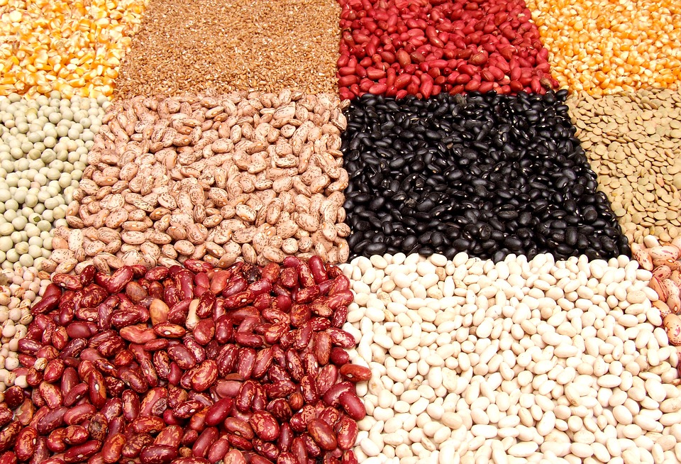 We offer to buy beans grown in the fields of Ukraine