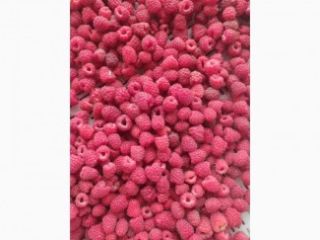 A company with experience in the purchase and processing