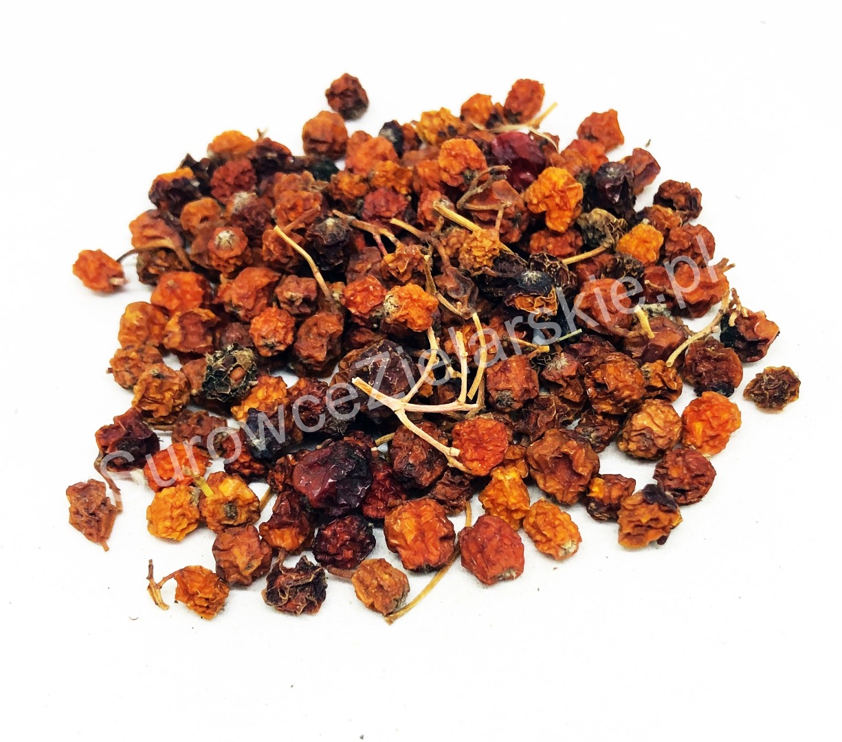I will sell Rowan fruit (Sorbus aucuparia fructus), large quantities from a warehouse in Lublin