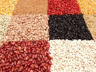 Beans from the fields of Ukraine We offer to