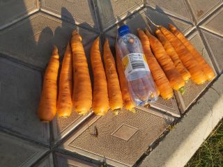 Price: negotiable depending on the desired quantity. Local producer