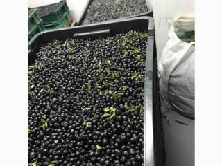 A company with experience in the purchase and processing