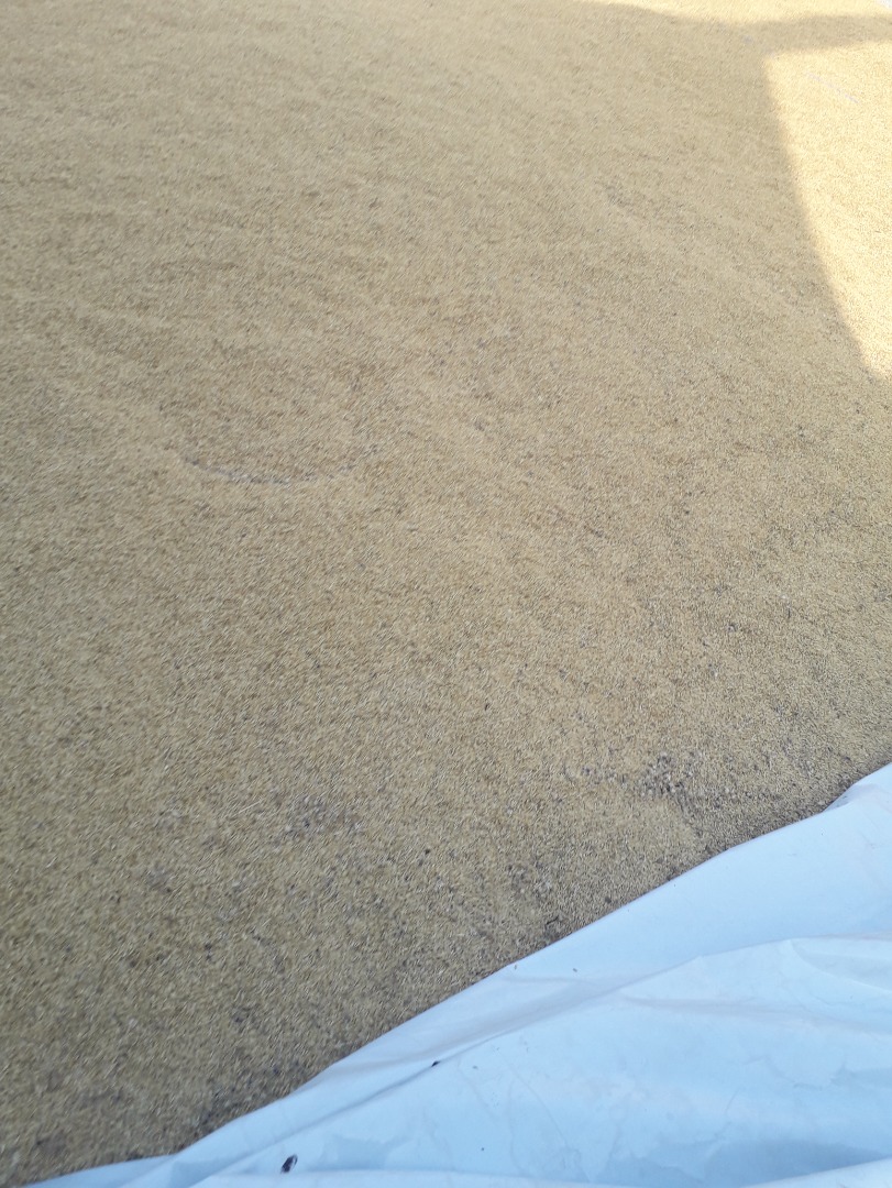 I am selling 80 tons of barley for 0.90 lei