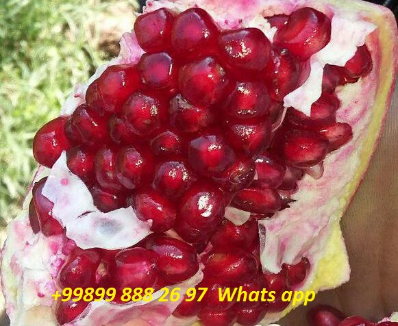 Dear customers , I offer you sweet pomegranate