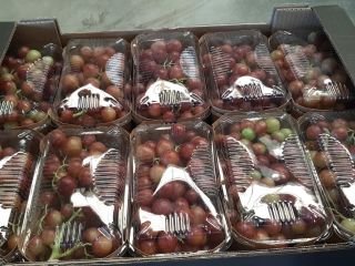 The Spanish company Laverida sells organic Itum grapes. Without