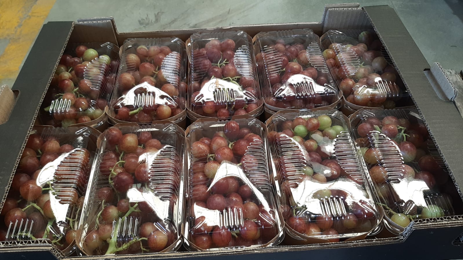 The Spanish company Laverida sells organic Itum grapes