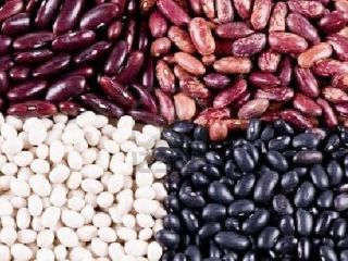 Selling beans wholesale. Beans production Ukraine. The Bins Naturproduct