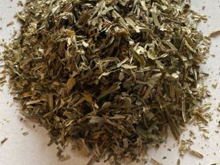 Sea buckthorn leaf for sale (Hippophaes rhamnoides folium), large
