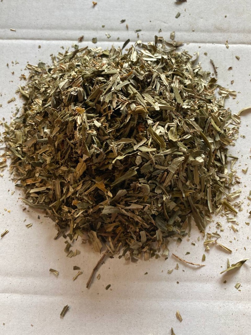Sea buckthorn leaf for sale (Hippophaes rhamnoides folium), large quantities from a warehouse in Lublin
