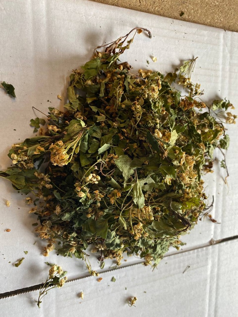 I will sell a flower with a leaf (Crataegi flos), large quantities from a warehouse in Lublin