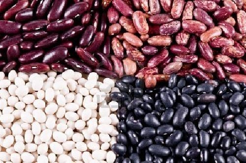 Selling beans wholesale