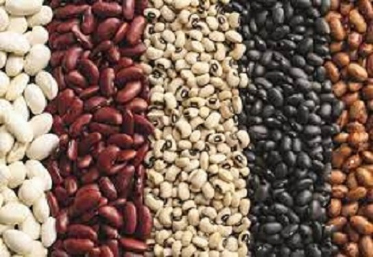 Selling beans wholesale