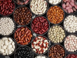 Ukrainian company "Bins Naturprodukt" is engaged in wholesale of