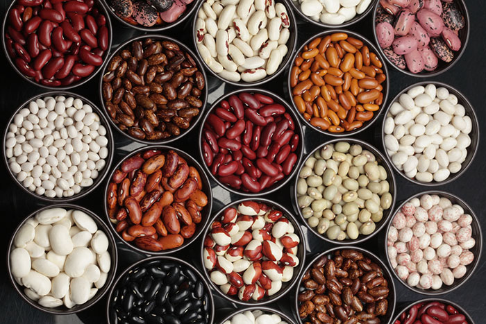 Ukrainian company "Bins Naturprodukt" is engaged in wholesale of beans (assortment)