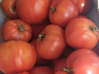 I invite you to buy ground tomatoes, not sprayed