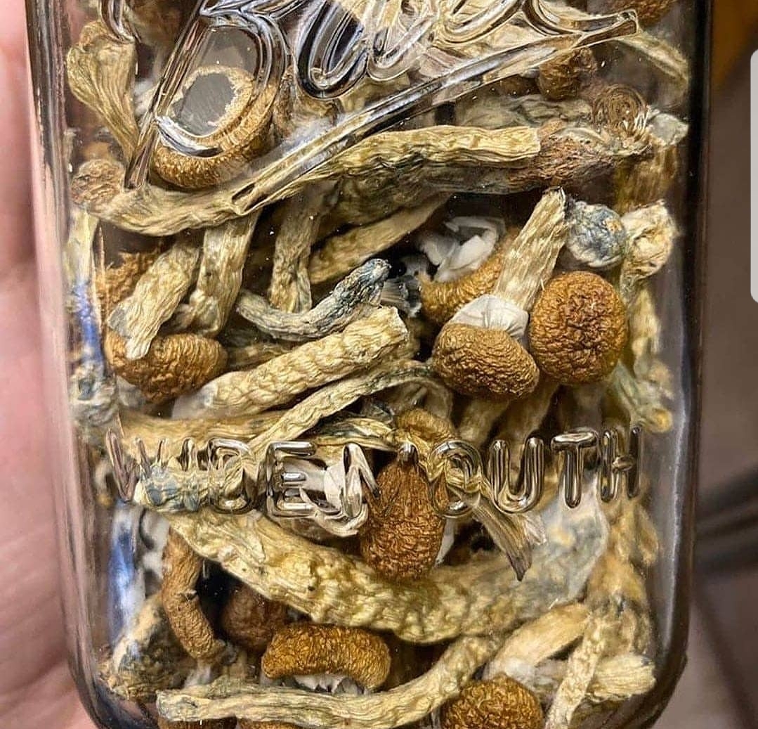 I sell top quality mushroom both dry and fresh bellow is my menu of available shrooms Shroom menu -Avery's albino -Pleasure coast -Golden Teacher -King lizard