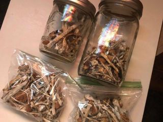 I sell top quality mushroom both dry and fresh