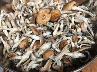 I sell top quality mushroom both dry and fresh