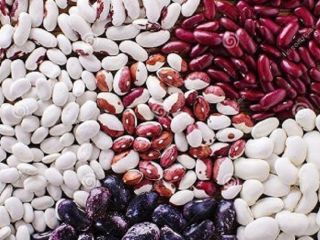Sale of beans, new harvest We offer bulk purchase
