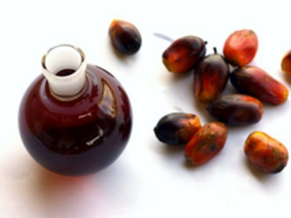 Fresh Palm oil organically sourced and gotten from Palm