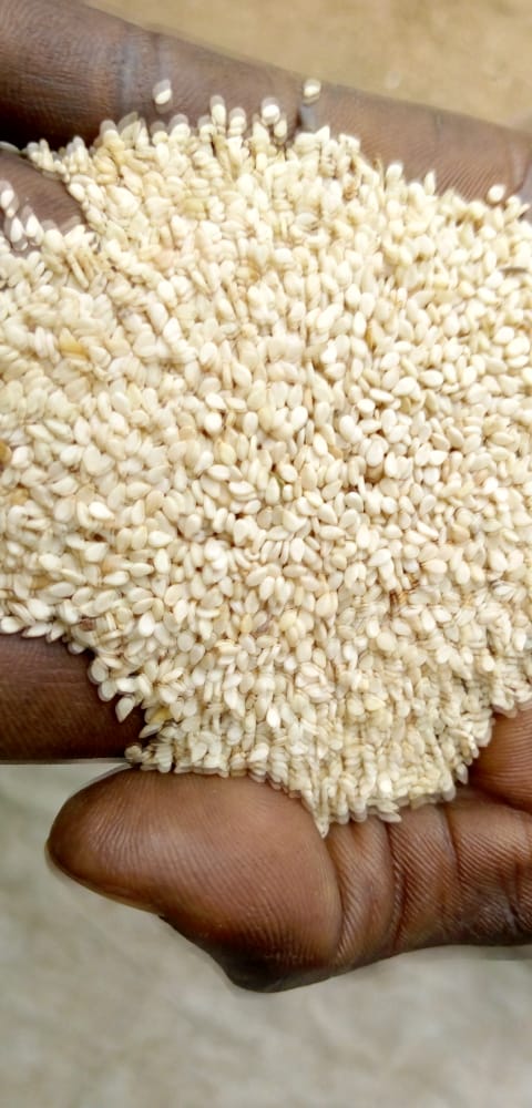 White sesame seeds