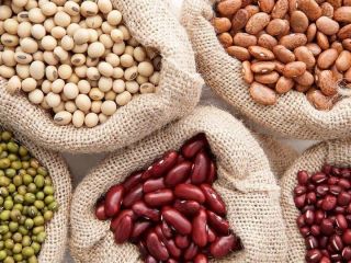 Selling quality beans from Ukraine. More than 20 varieties